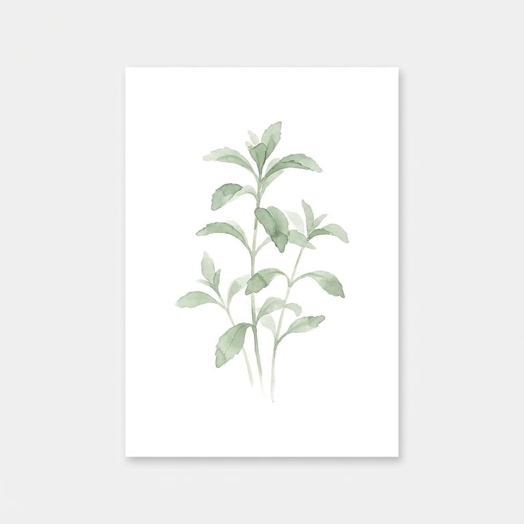 Stevia en hojas (1 Kg)